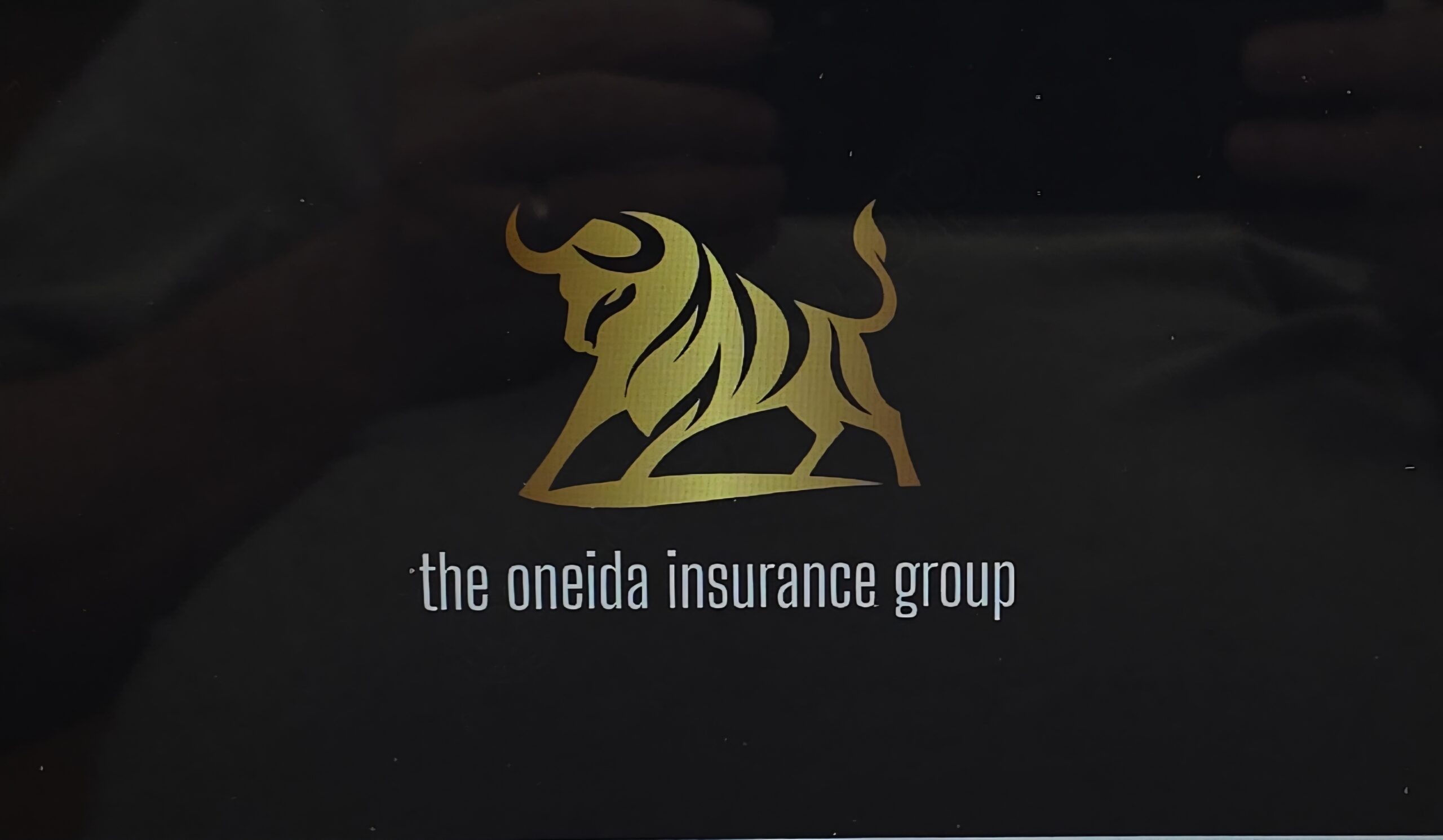 The Oneida Insurance Group Inc.